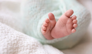 Ringkasan tentang pembagian Takdir, bisakah berubah dan sikap seorang muslim