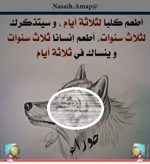 Pepatah Arab : Beri Makan Anjing selama 3 hari